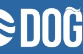 Співпраця з виробником Dogu